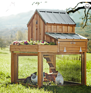 saltbox designs cedar chicken coop with planter sold by williams-sonoma